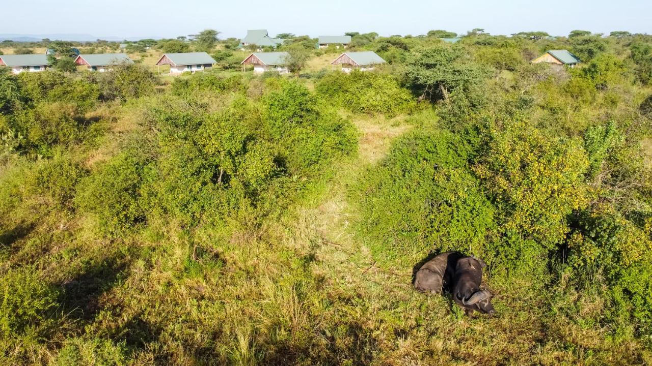 Africa Safari Ikoma Cabană Serengeti