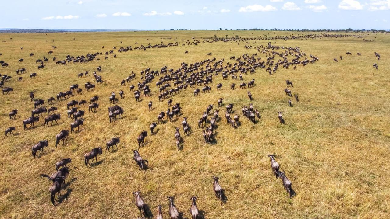 Africa Safari Ikoma Cabană *